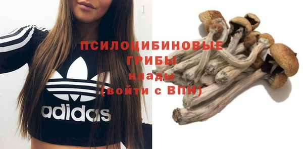 гашиш Касимов