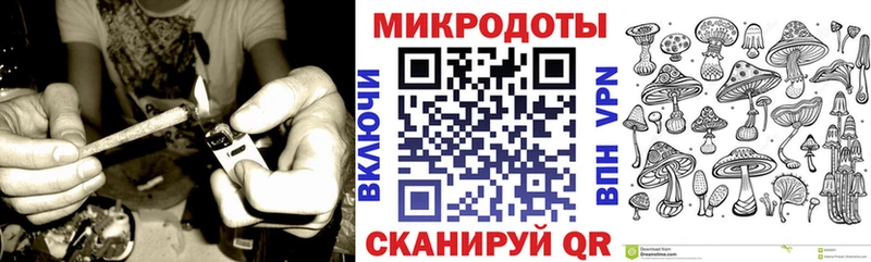 Купить  Скопин  Галлюциногенные грибы Cubensis 